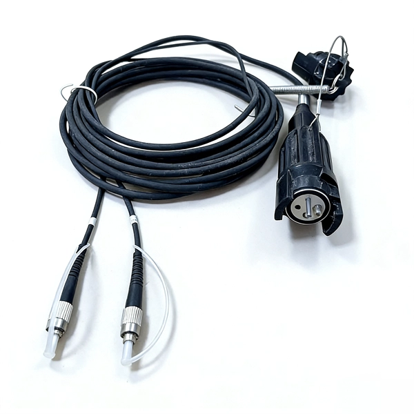 Regional Fiber Optic Sensor Platform