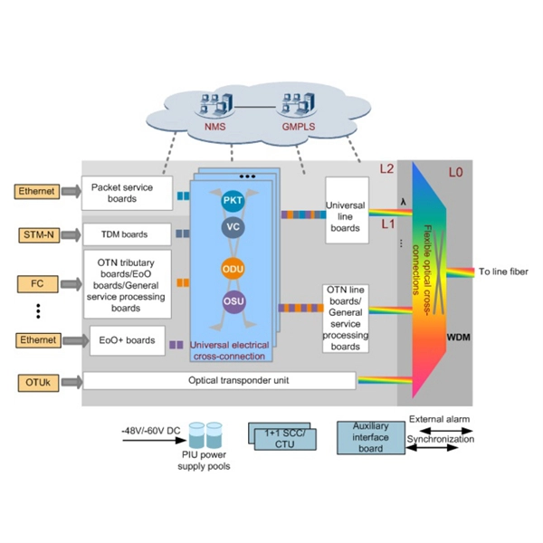 Fiber optic module wiring