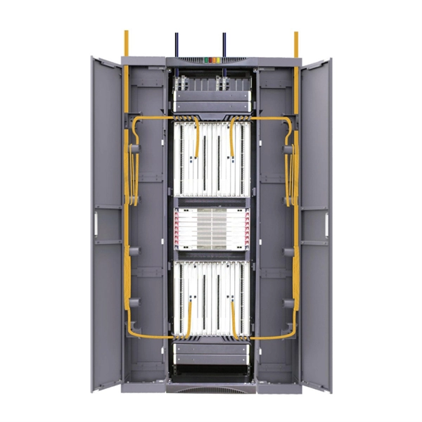 Domestic 100G optical modules